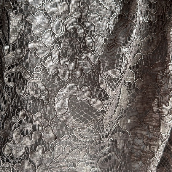 David’s Bridal Silver Lace Dress - F15620 - Picture 6 of 7